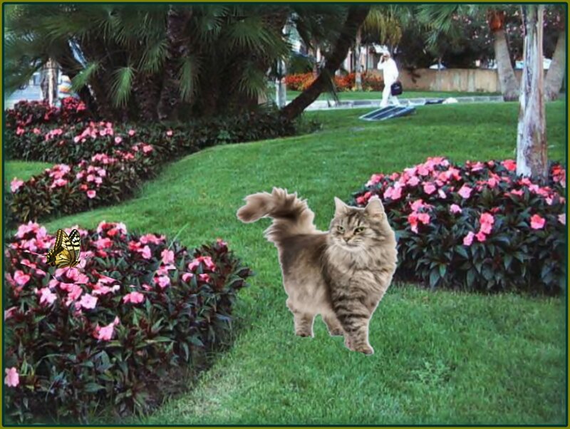 Fluffy Cat in Garden — Green, Serene