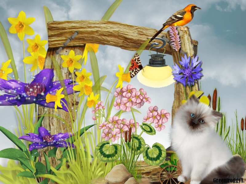 Fluffy Cat in Garden — Yellow, Serene