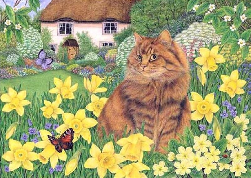 Fluffy Cat in Garden — Yellow