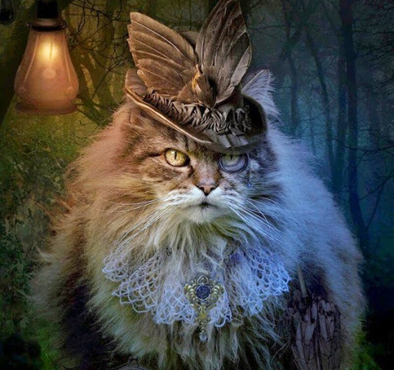 Fluffy Cat in Hat — Brown, Dramatic