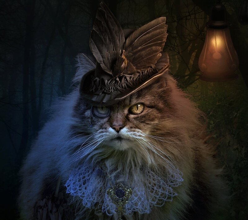 Fluffy Cat in Hat — Brown