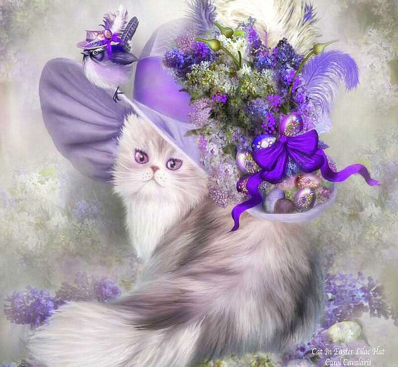Fluffy Cat in Lilac Hat