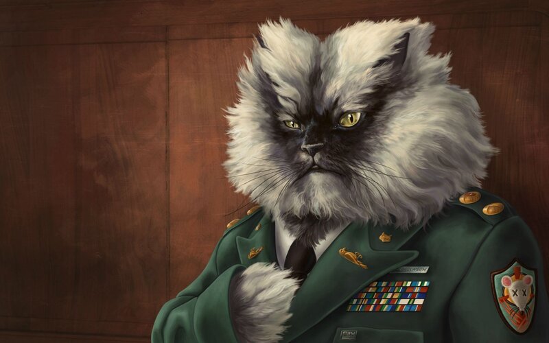 Fluffy Cat in Military Uniform