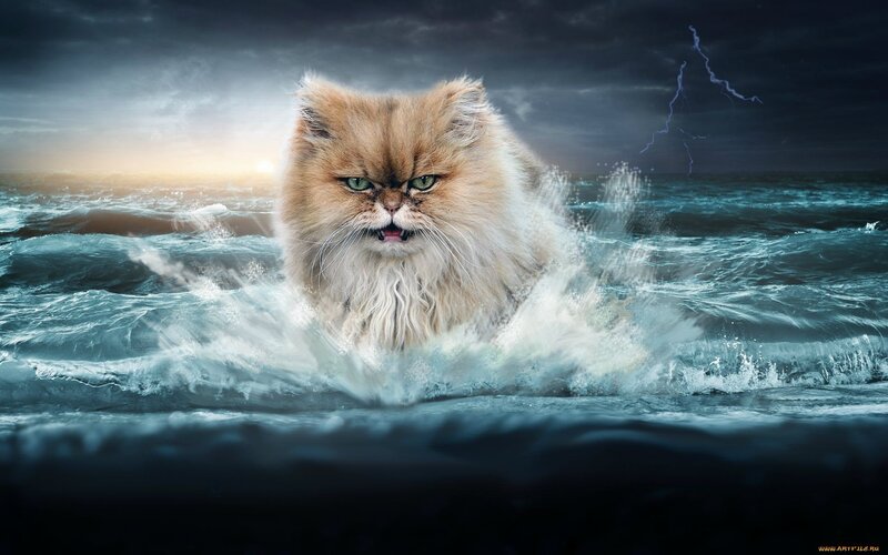Fluffy Cat in Ocean — Blue, Dramatic