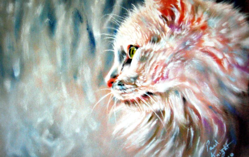 Fluffy Cat in Profile — White, Calm