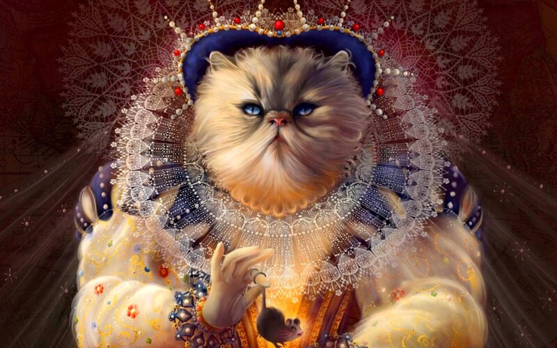 Fluffy Cat in Royal Attire