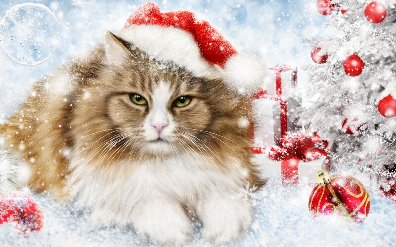Fluffy Cat in Santa Hat — White, Festive, Winter, Digital Art