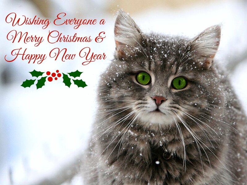 Fluffy Cat in Snow — Gray, Festive