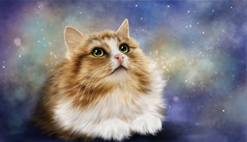 Fluffy Cat in Space — Brown