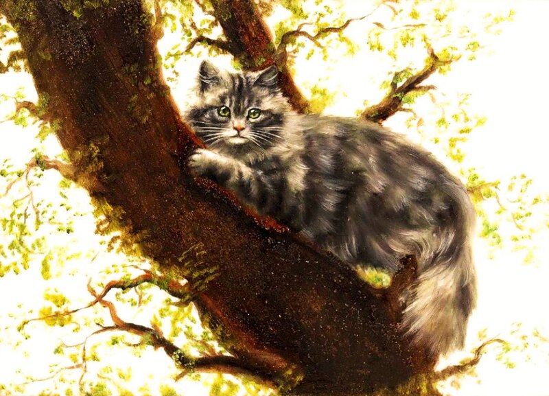 Fluffy Cat in Tree — Gray, Calm, Morning