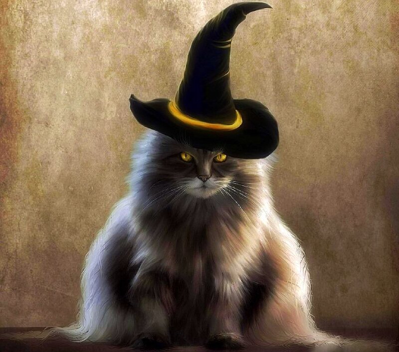Fluffy Cat in Witch Hat