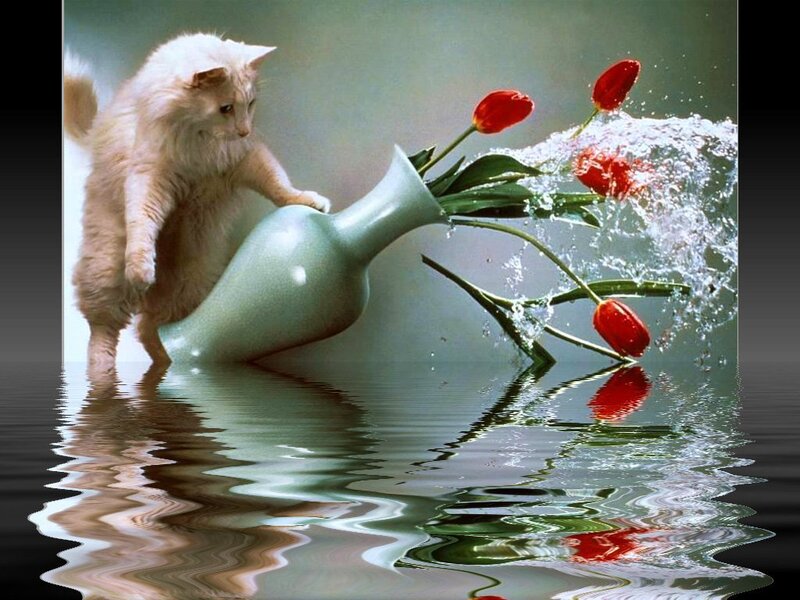 Fluffy Cat Knocking Vase
