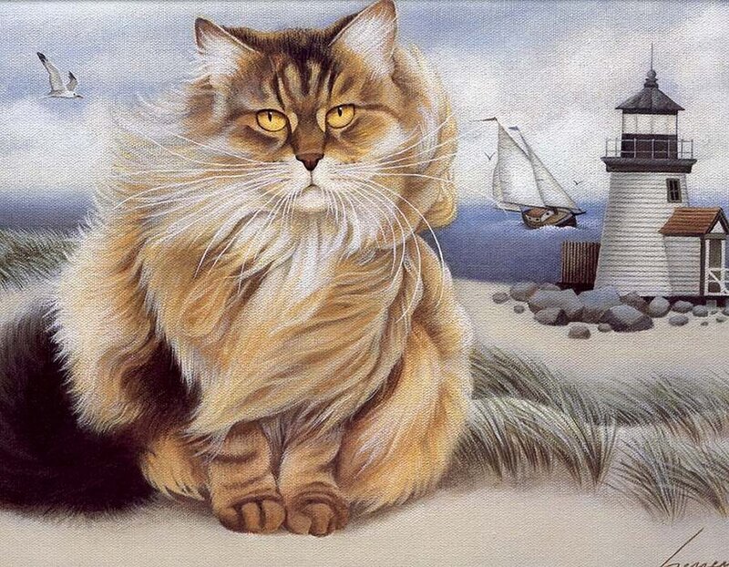 Fluffy Cat on Beach