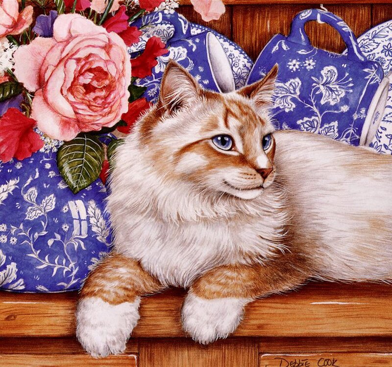 Fluffy Cat on Bench — Blue