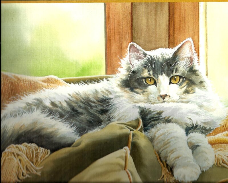 Fluffy Cat on Blanket — White, Calm