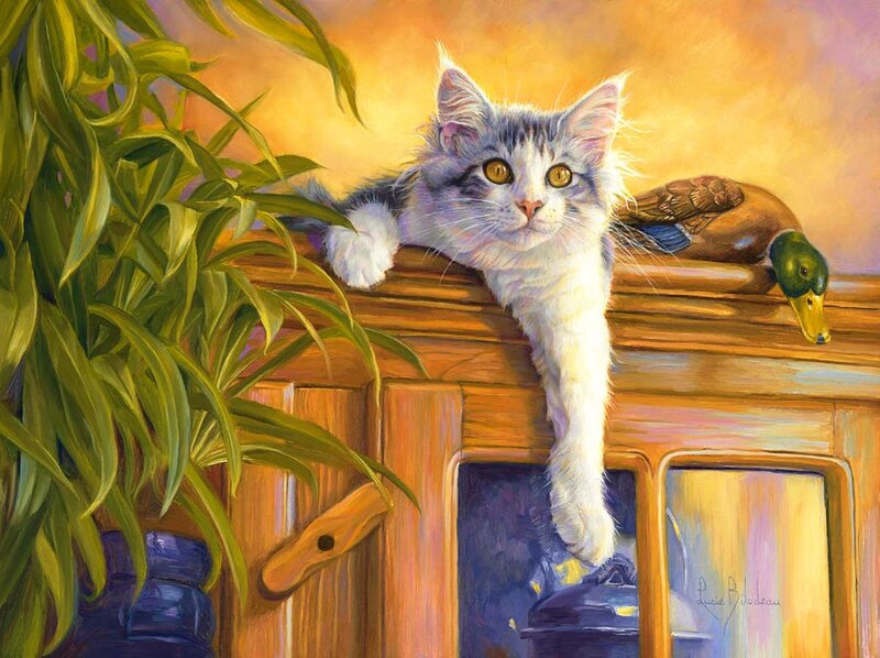 Fluffy Cat on Cabinet