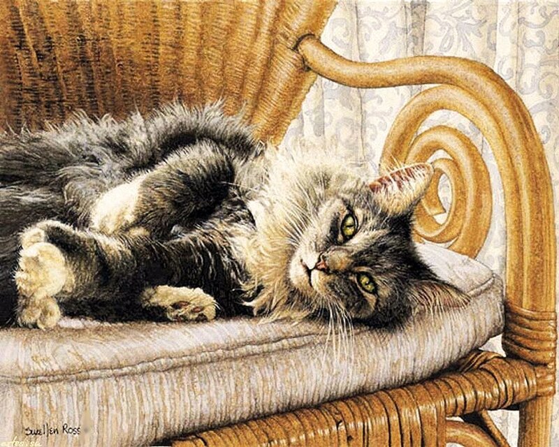 Fluffy Cat on Chair — Brown, Relaxed, Painting