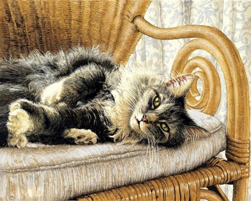 Fluffy Cat on Chair — Brown
