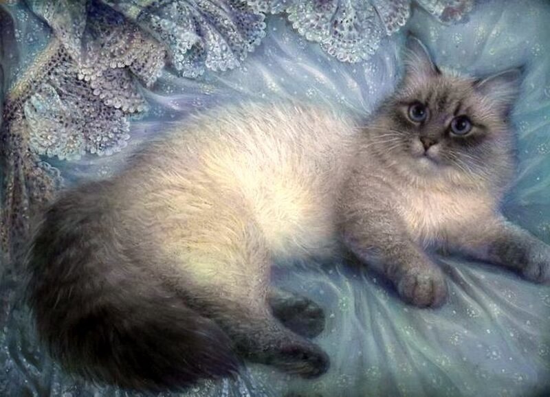 Fluffy Cat on Fabric — Blue