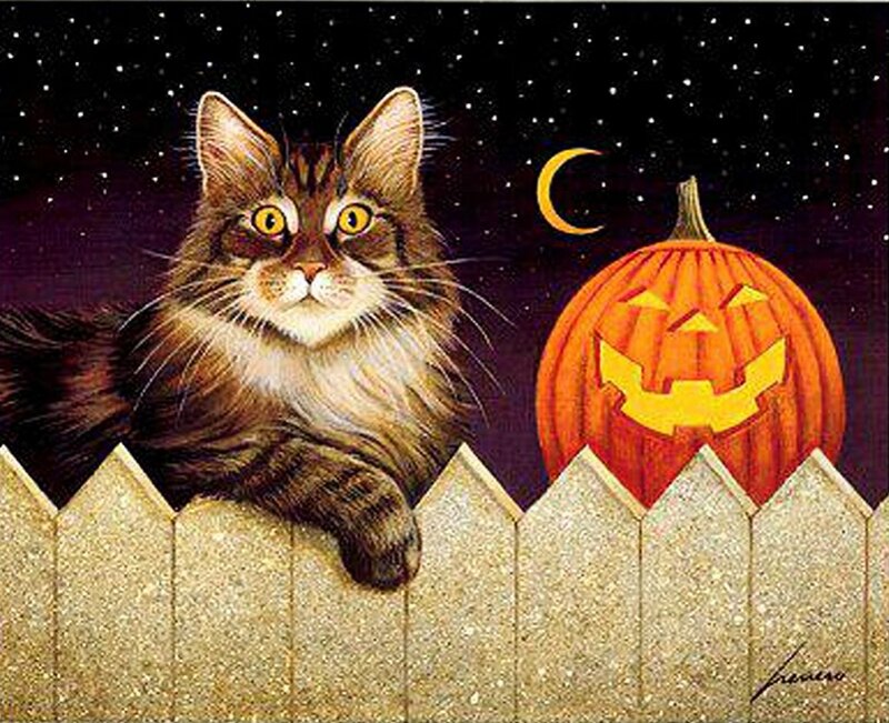 Fluffy Cat on Fence — Orange
