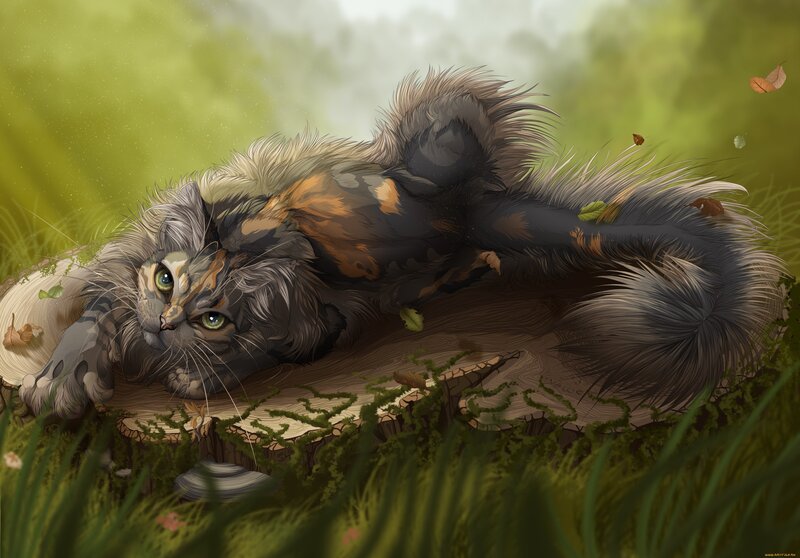 Fluffy Cat on Log — Green