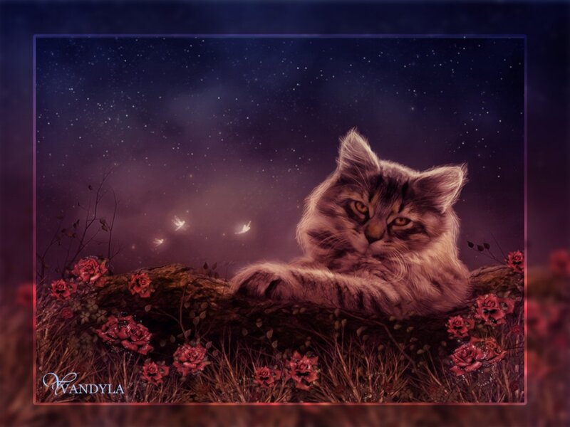Fluffy Cat on Log — Purple