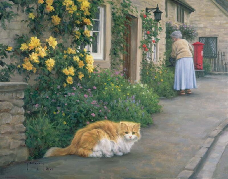 Fluffy Cat on Pavement