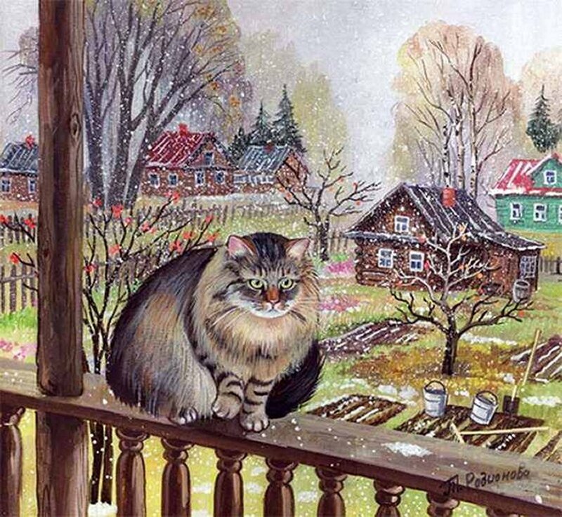Fluffy Cat on Porch