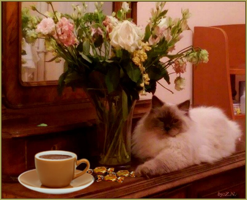 Fluffy Cat on Table — Brown, Calm, Morning