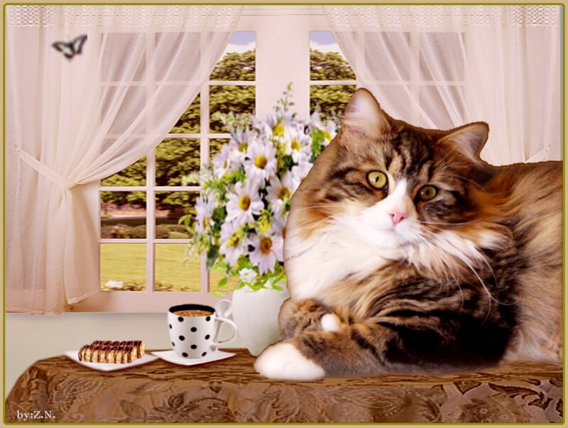 Fluffy Cat on Table — Brown, Serene, Morning