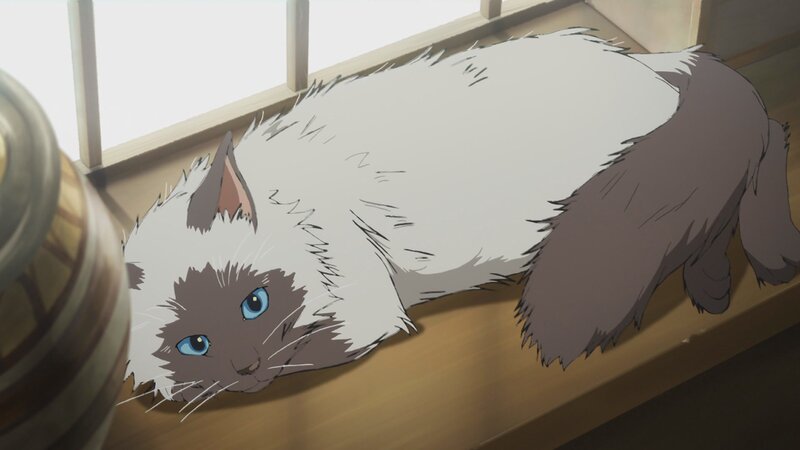 Fluffy Cat on Windowsill — White, Calm, Morning