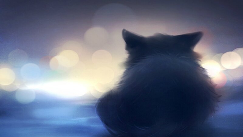 Fluffy Cat Silhouette