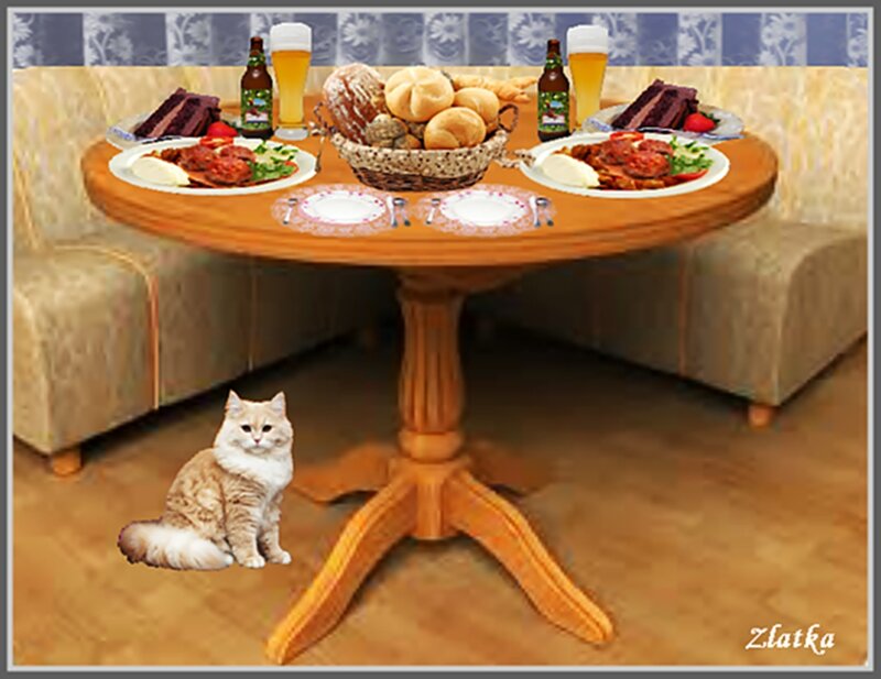 Fluffy Cat under Table