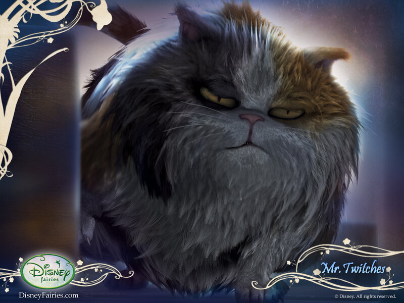 Fluffy Cat with Angry Expression