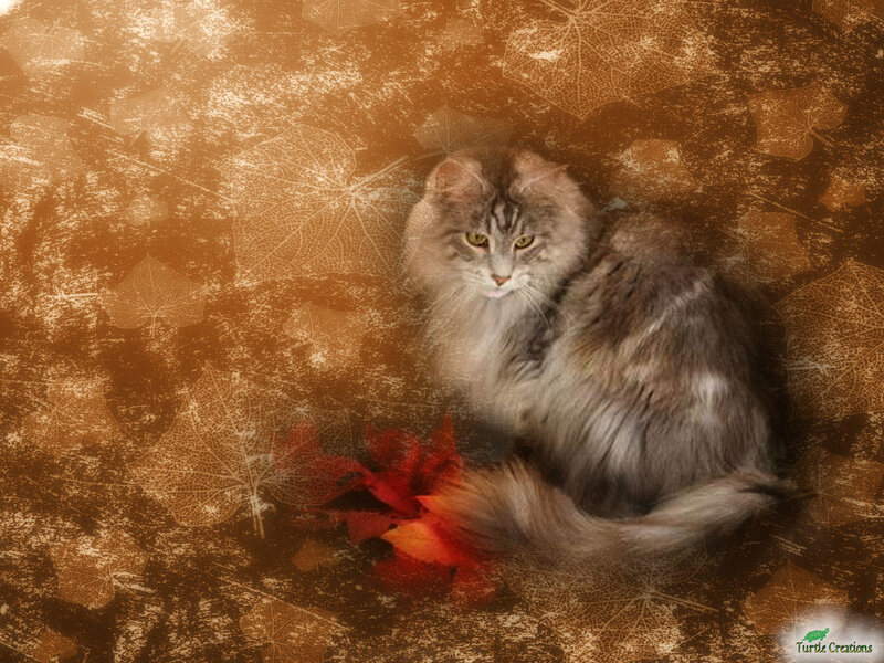 Fluffy Cat with Autumn Leaves