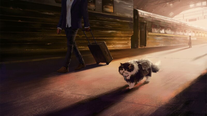 Fluffy Cat with Backpack