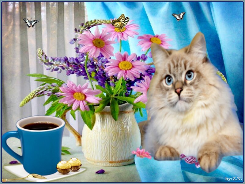 Fluffy Cat with Flowers — Blue, Serene