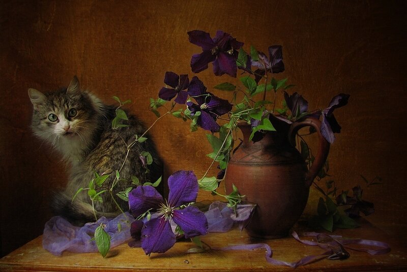 Fluffy Cat with Flowers — Purple, Dramatic