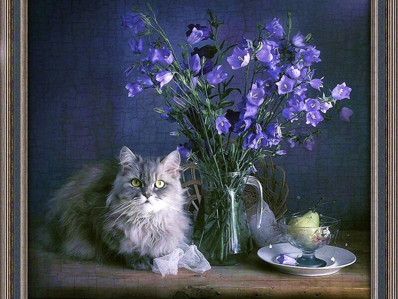 Fluffy Cat with Flowers — Purple