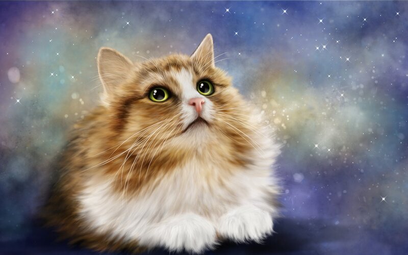Fluffy Cat with Green Eyes — Brown, Dreamy