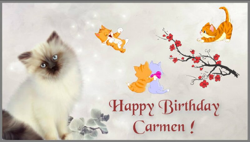 Fluffy Cat with Kittens — White, Celebratory