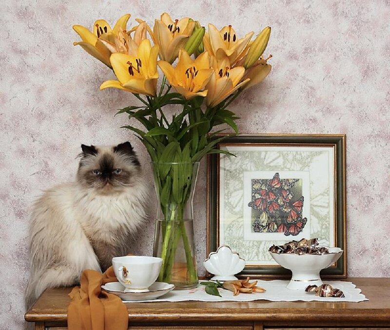 Fluffy Cat with Lilies