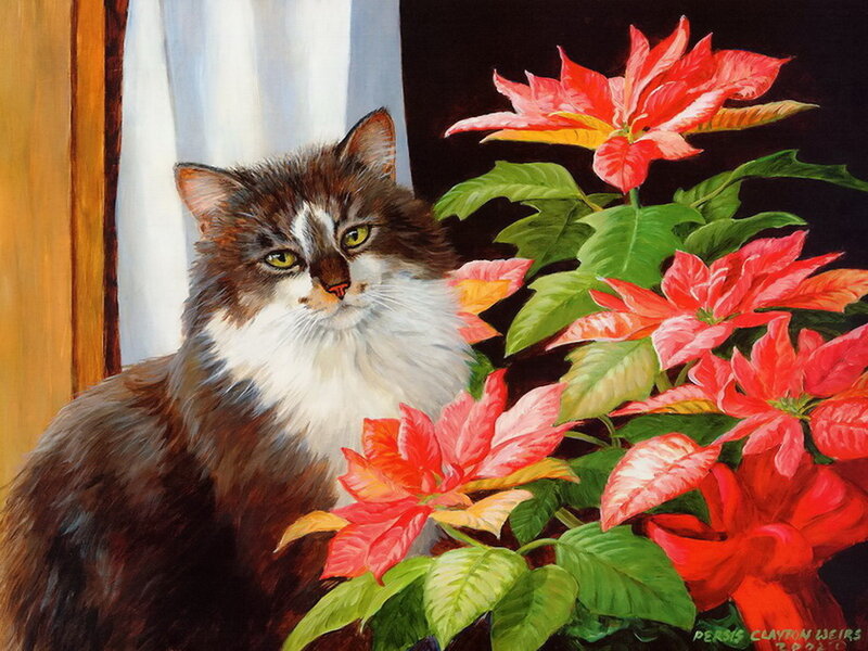 Fluffy Cat with Poinsettia