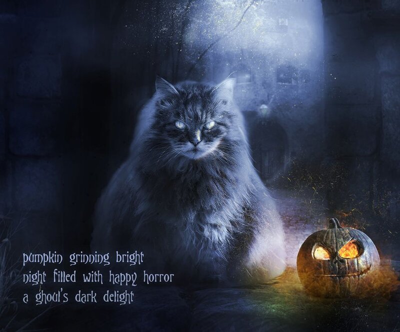 Fluffy Cat with Pumpkin — Blue