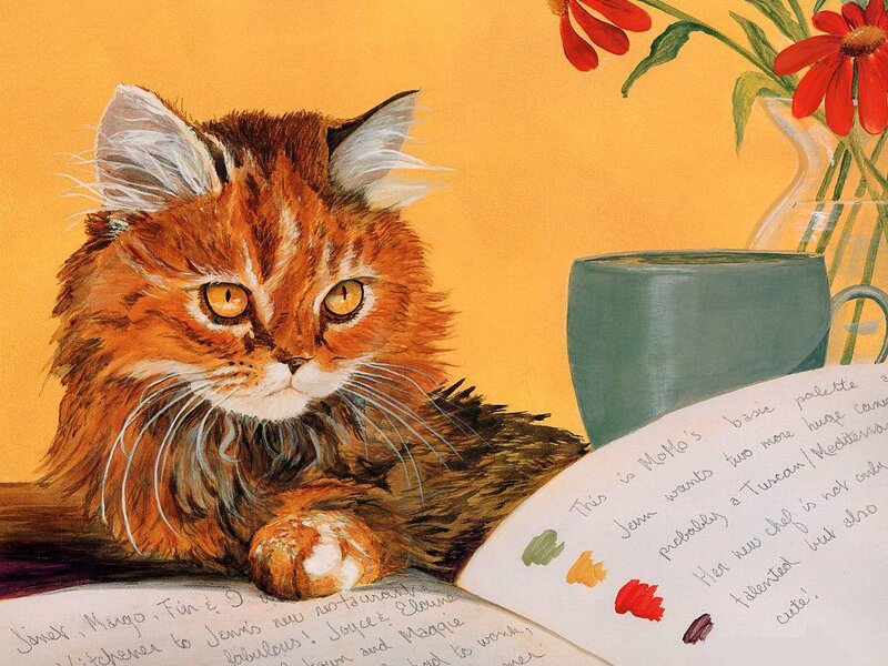 Fluffy cat with recipe book
