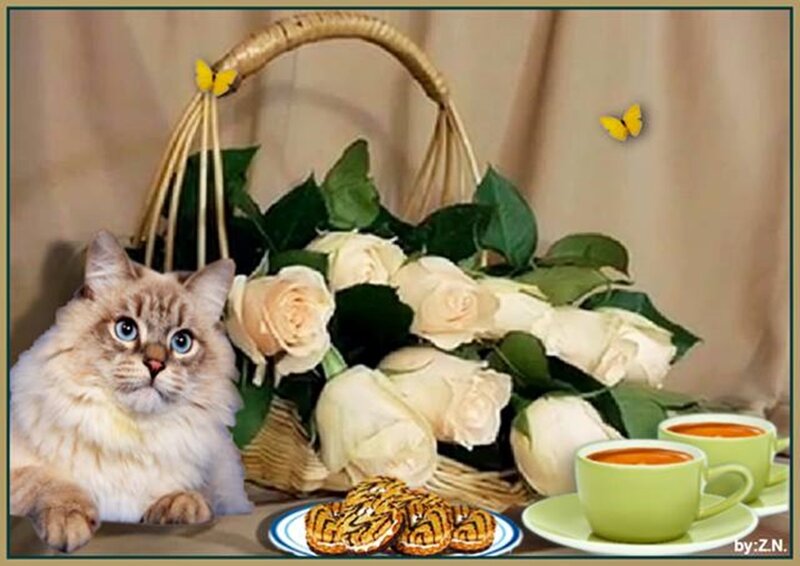 Fluffy Cat with Roses