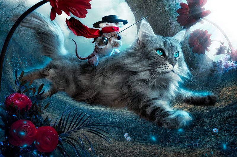 Fluffy Cat with Toy Mouse