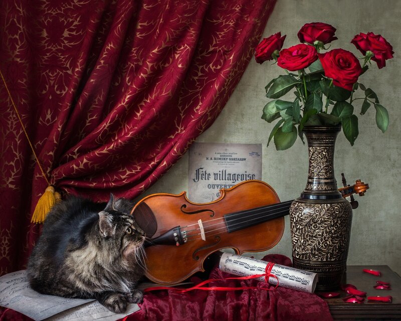 Fluffy Cat with Violin — Red