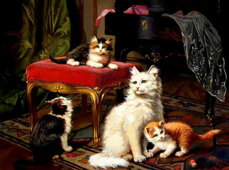 Fluffy Cats in Room