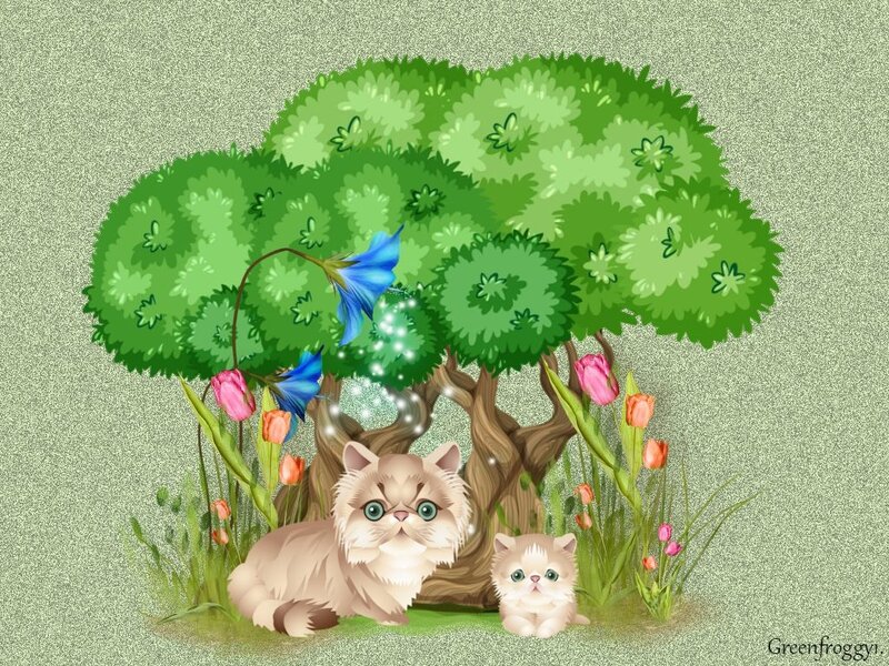 Fluffy Cats under Tree